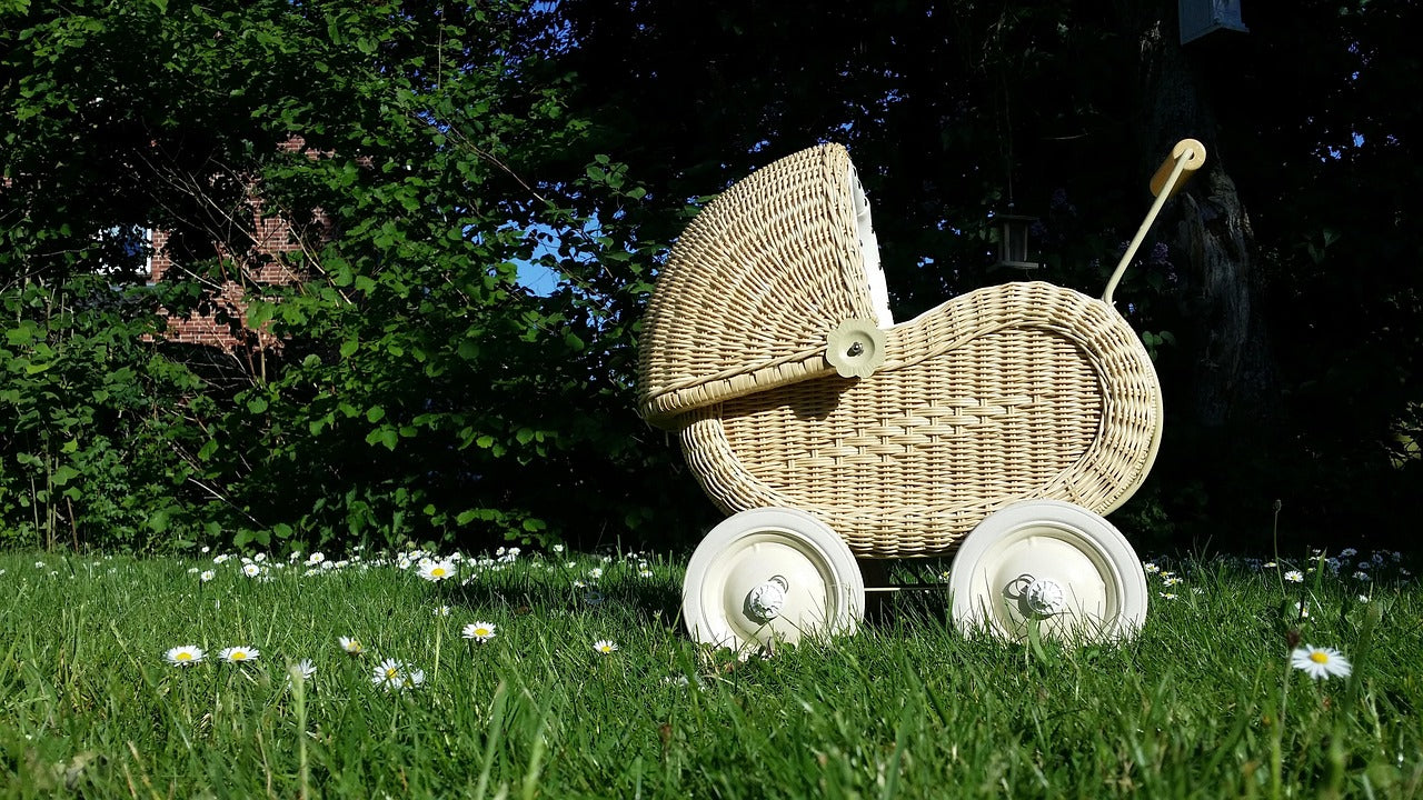 History of Strollers: When They Were Invented and How Travel Strollers Evolved