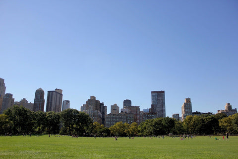 Detailed Analysis of Stroller-Friendly Parks in New York City
