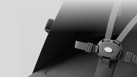 Safety Buckle