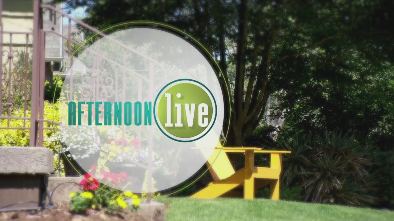 Load video: As seen in TV